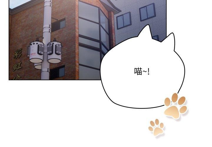 3P - 喵来的恋爱