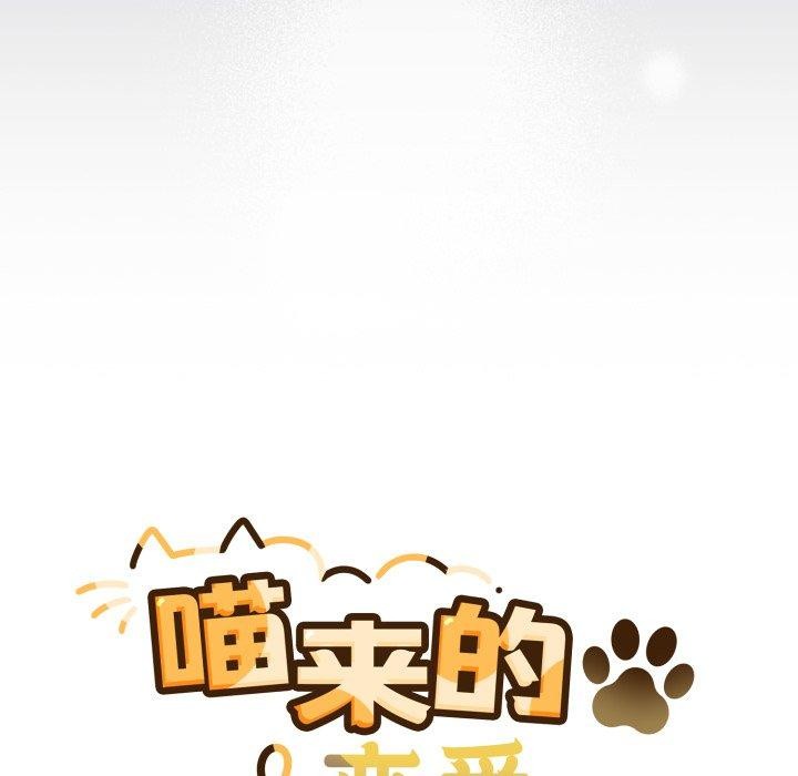 39P - 喵来的恋爱