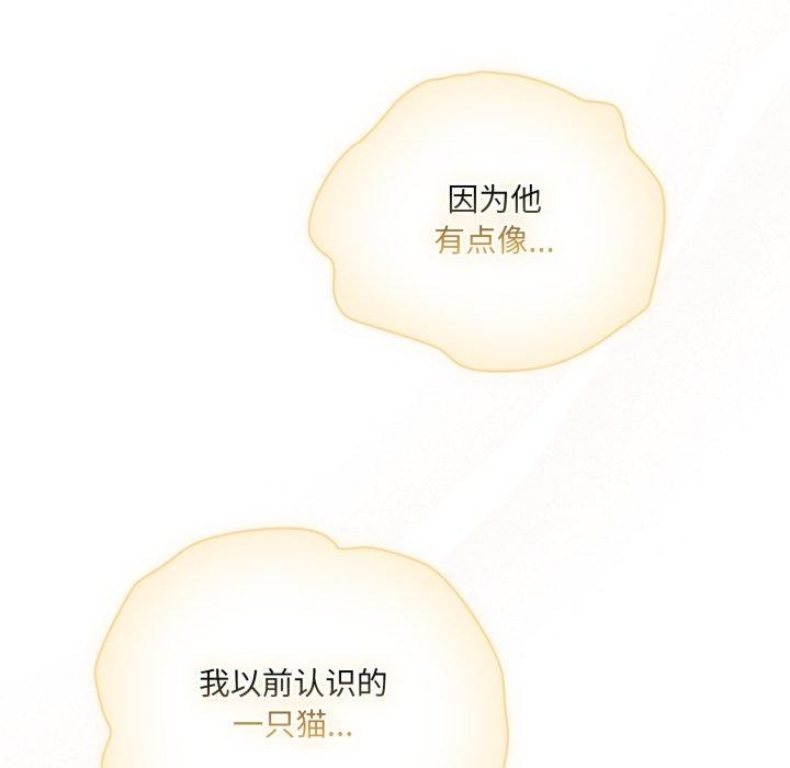 72P - 喵来的恋爱