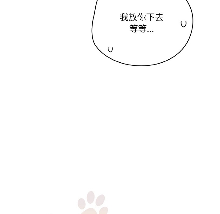 169P - 喵来的恋爱