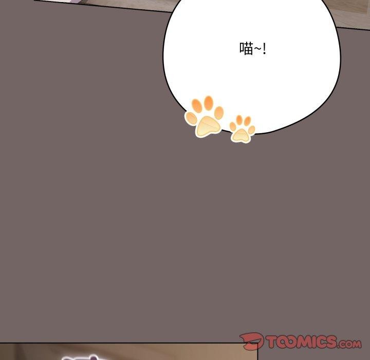 164P - 喵来的恋爱