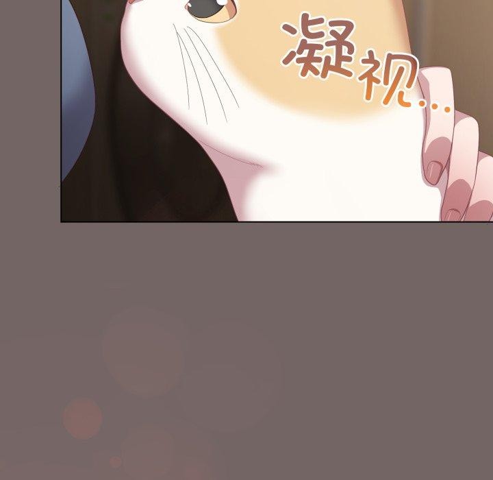 167P - 喵来的恋爱