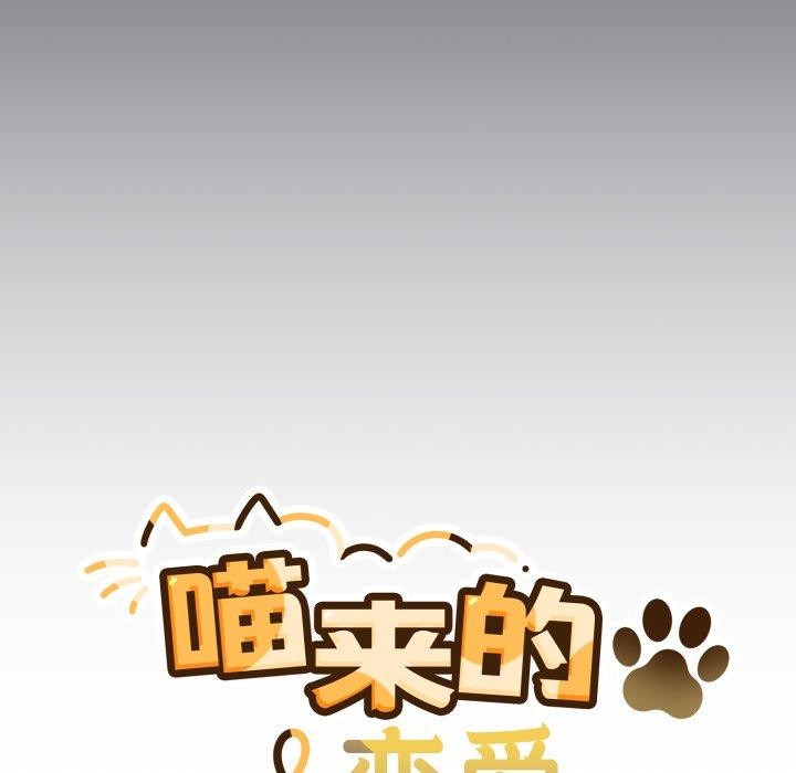 55P - 喵来的恋爱