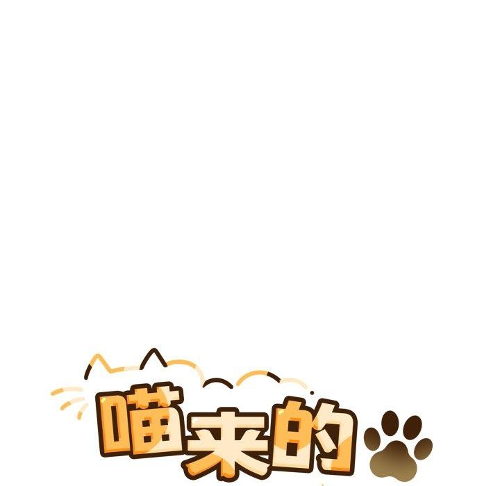 77P - 喵来的恋爱