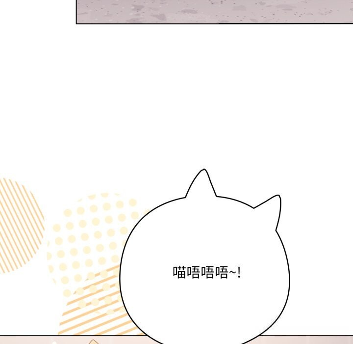 135P - 喵来的恋爱