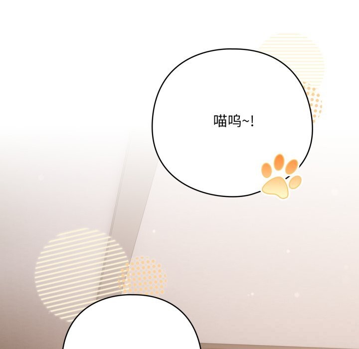 138P - 喵来的恋爱