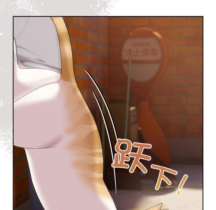 137P - 喵来的恋爱