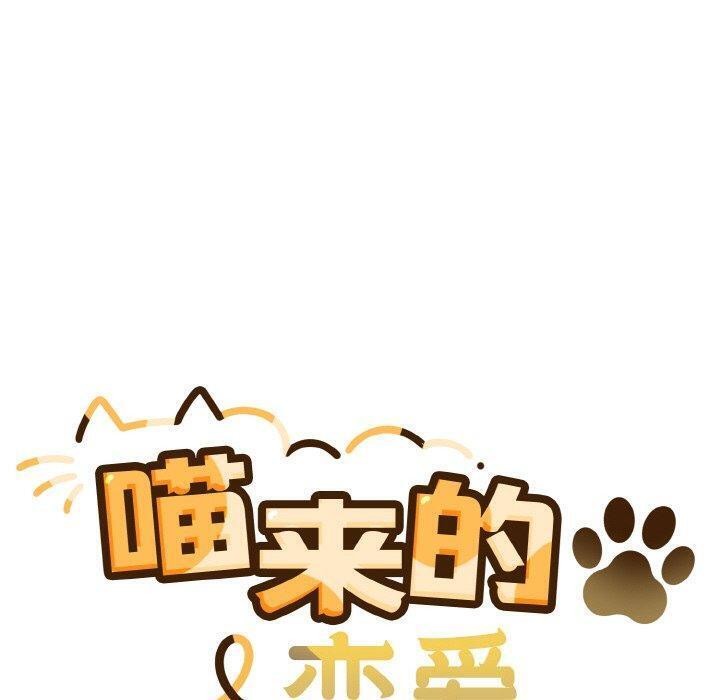 50P - 喵来的恋爱