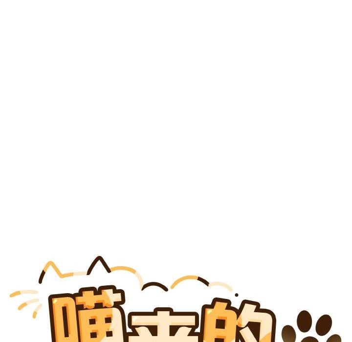13P - 喵来的恋爱