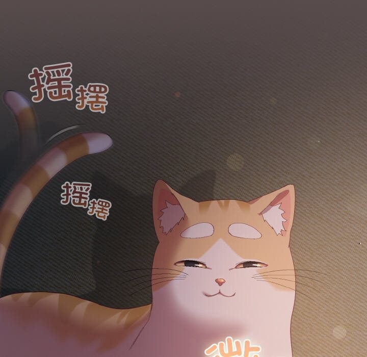 6P - 喵来的恋爱