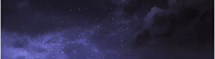 167P - 单身即纵欲
