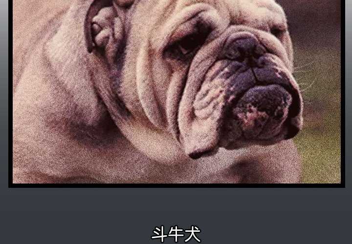 2P - 分身使我无限变强