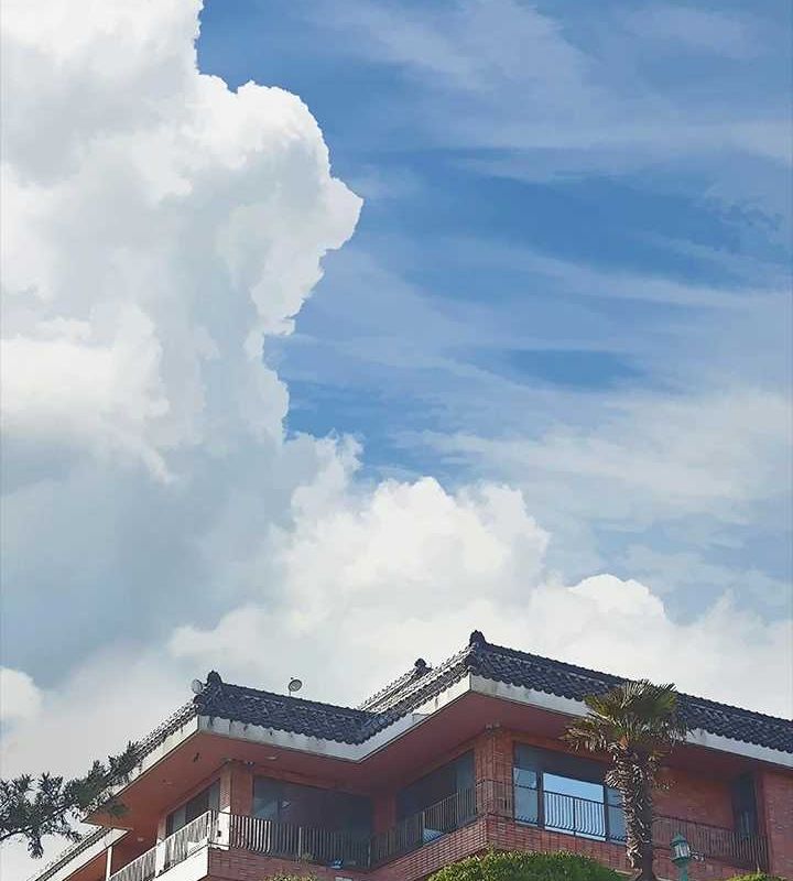 2P - 纵夏夜之梦(无码版)