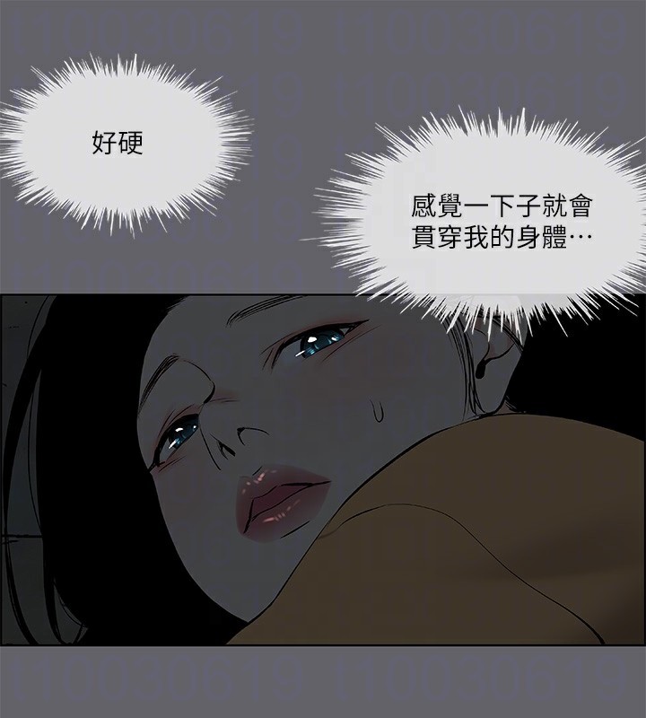 14P - 纵夏夜之梦(无码版)
