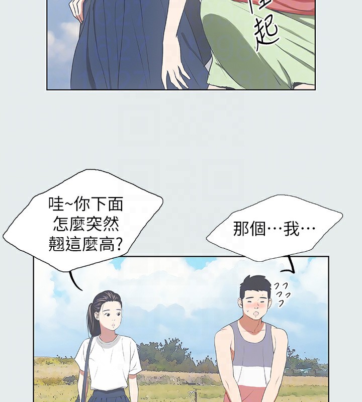 43P - 纵夏夜之梦(无码版)