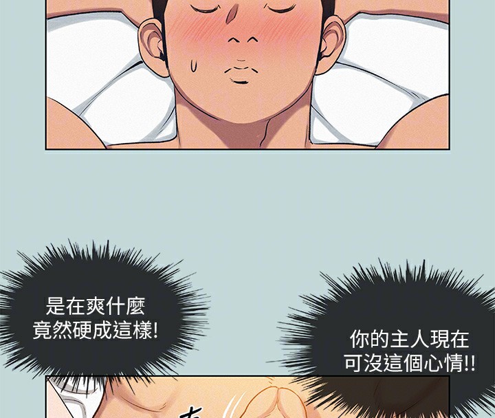 29P - 纵夏夜之梦(无码版)