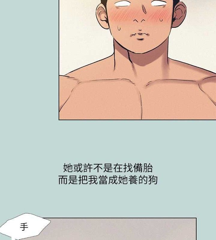 54P - 纵夏夜之梦(无码版)