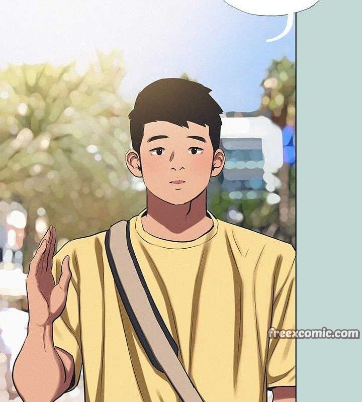 15P - 纵夏夜之梦(无码版)