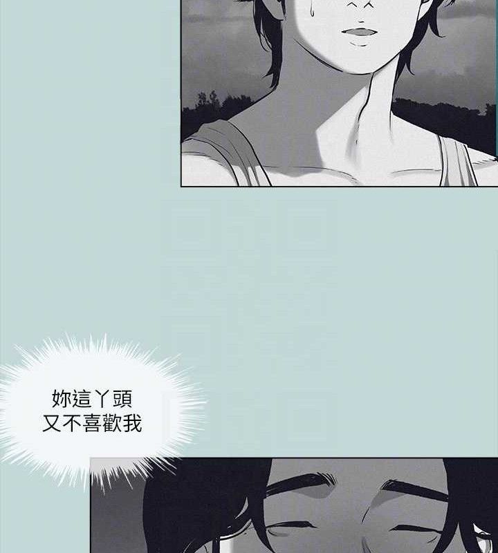 37P - 纵夏夜之梦(无码版)