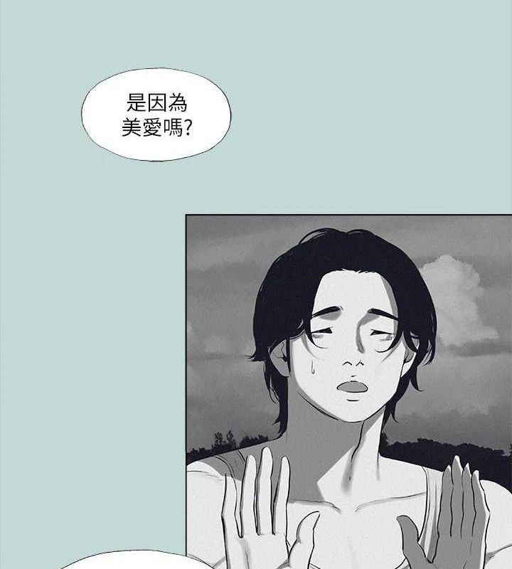 40P - 纵夏夜之梦(无码版)