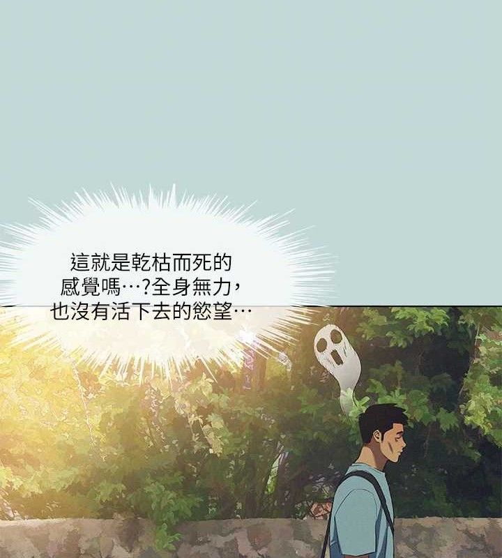 74P - 纵夏夜之梦(无码版)