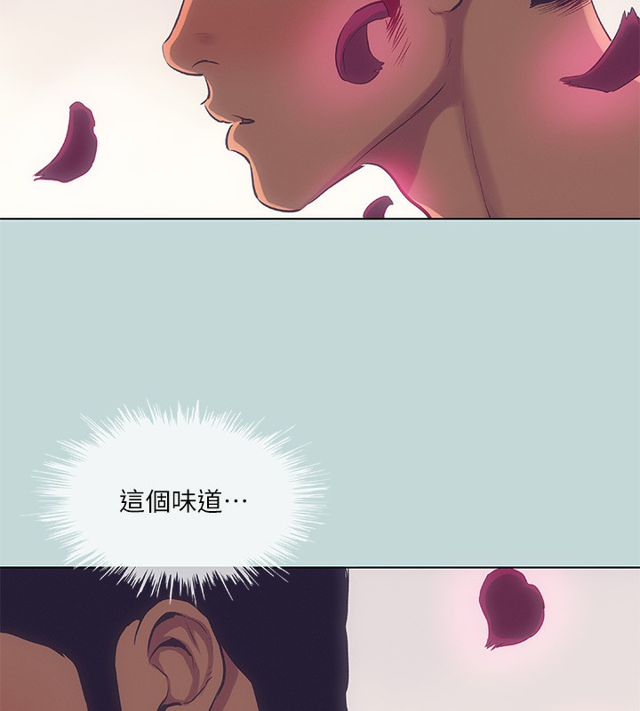 35P - 纵夏夜之梦(无码版)