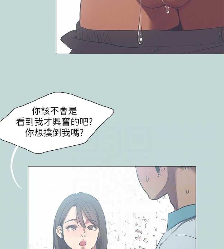 42P - 纵夏夜之梦(无码版)