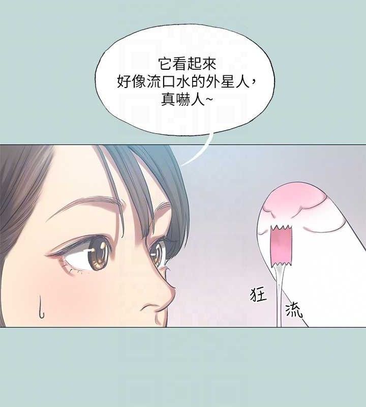 44P - 纵夏夜之梦(无码版)