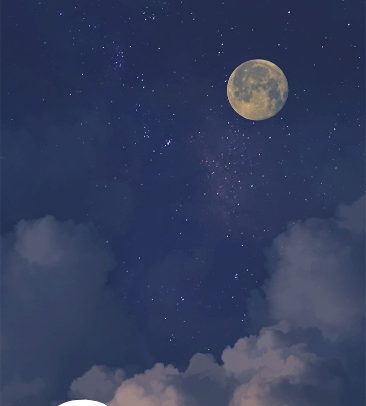 13P - 纵夏夜之梦(无码版)