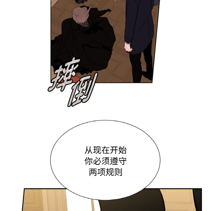 46P - 吉赛儿之血