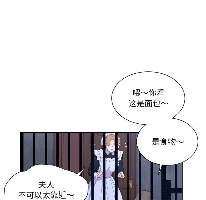 41P - 吉赛儿之血