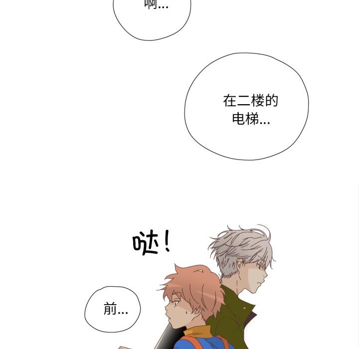 6P - 纯洁之罪