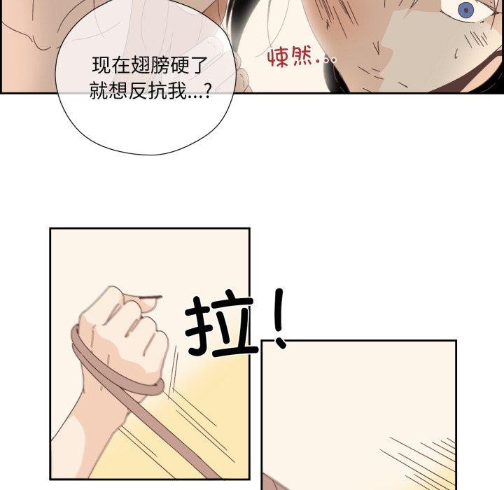 13P - 纯洁之罪