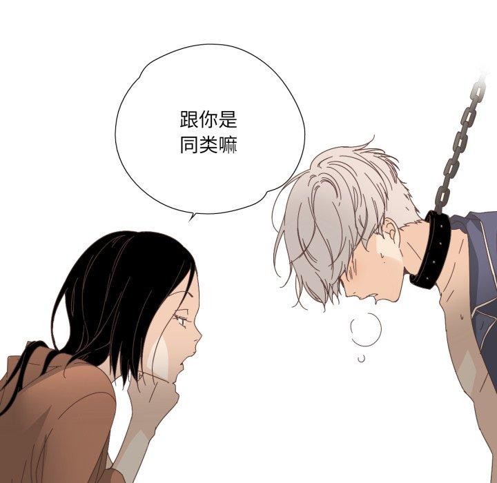 36P - 纯洁之罪
