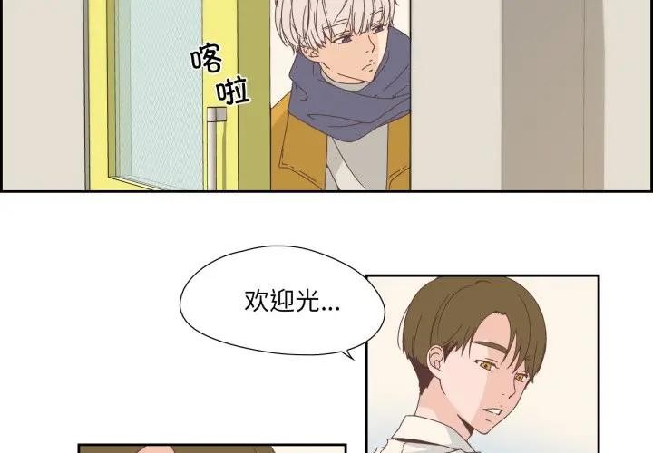 3P - 纯洁之罪
