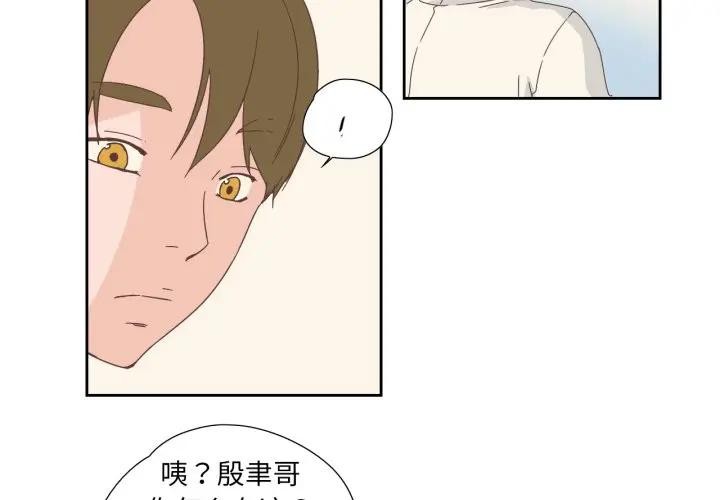 4P - 纯洁之罪