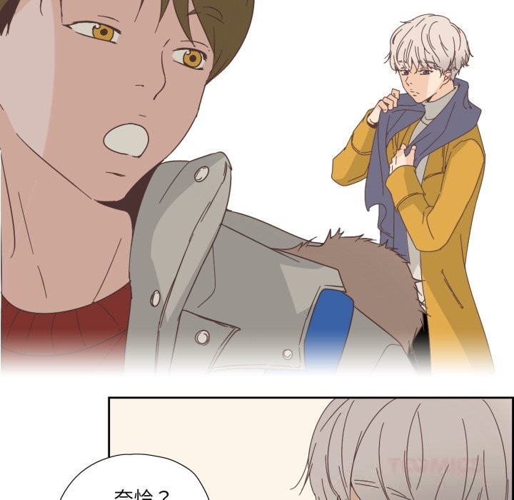12P - 纯洁之罪