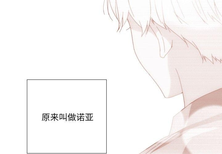 4P - 纯洁之罪