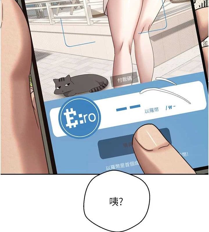 14P - 币转人生