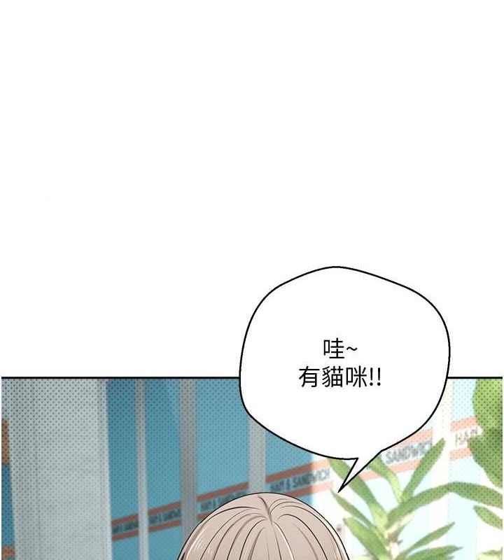 1P - 币转人生