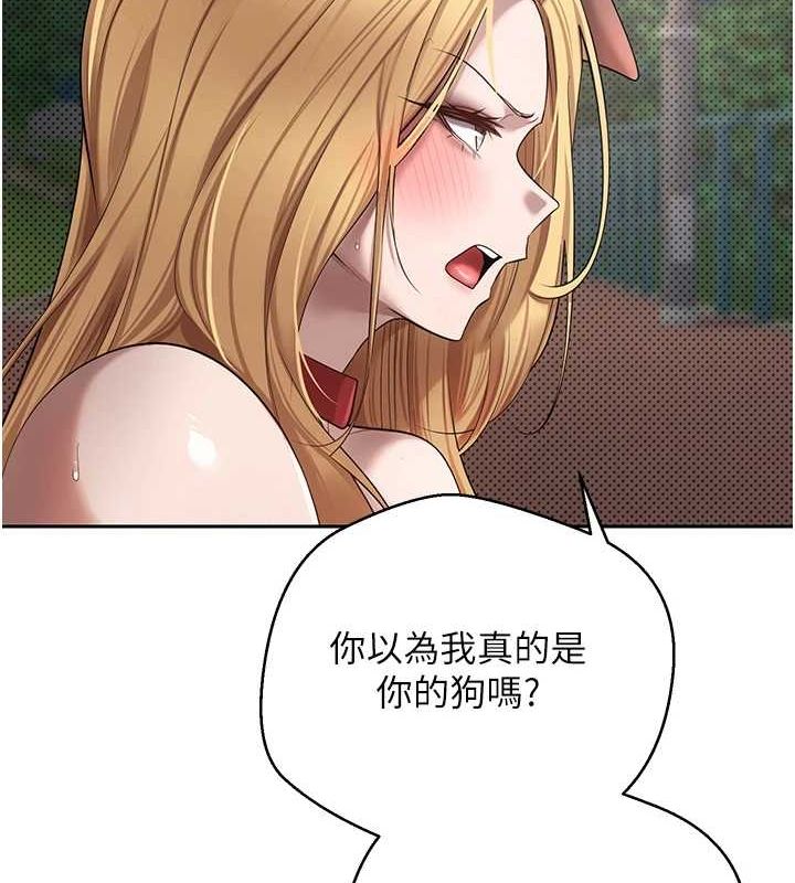 43P - 币转人生