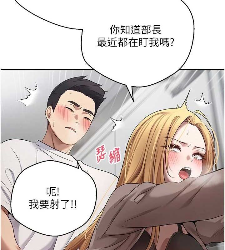 35P - 币转人生
