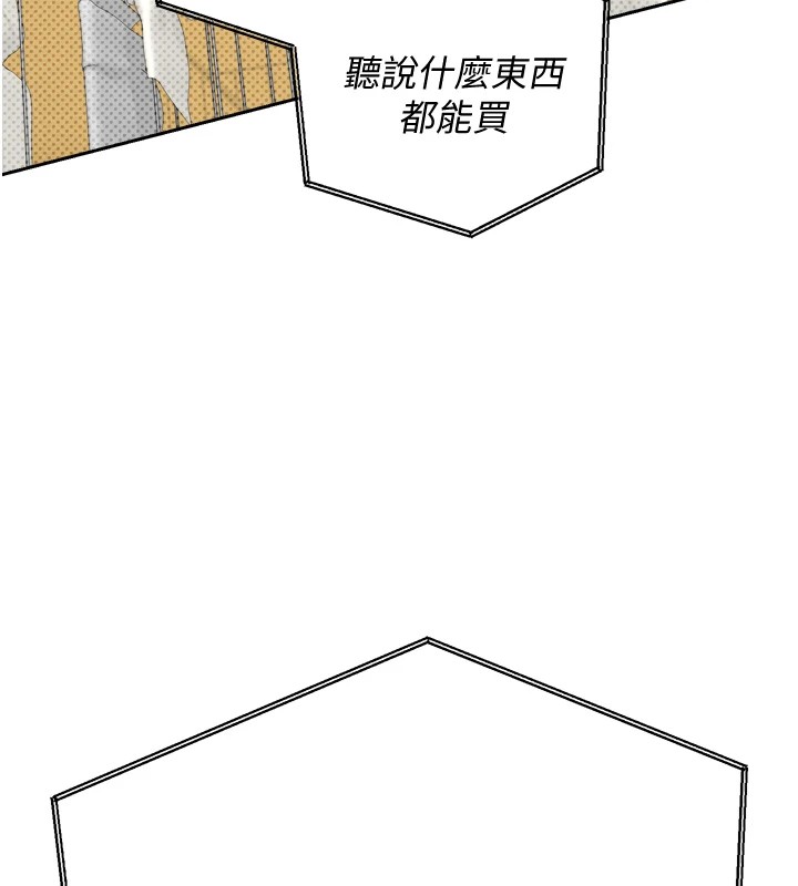 7P - 币转人生