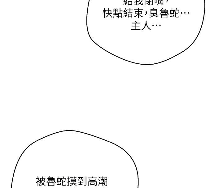 37P - 币转人生