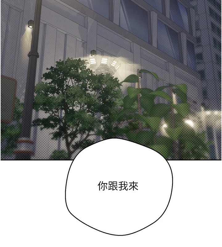 115P - 币转人生