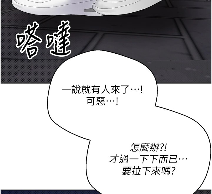 12P - 币转人生