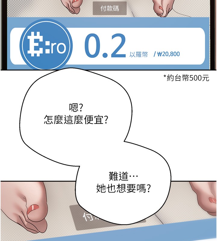 43P - 币转人生