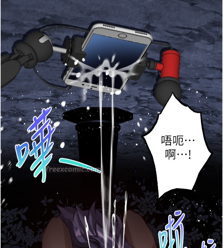 210P - 堕落物语2