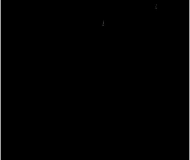 4P - 堕落物语2