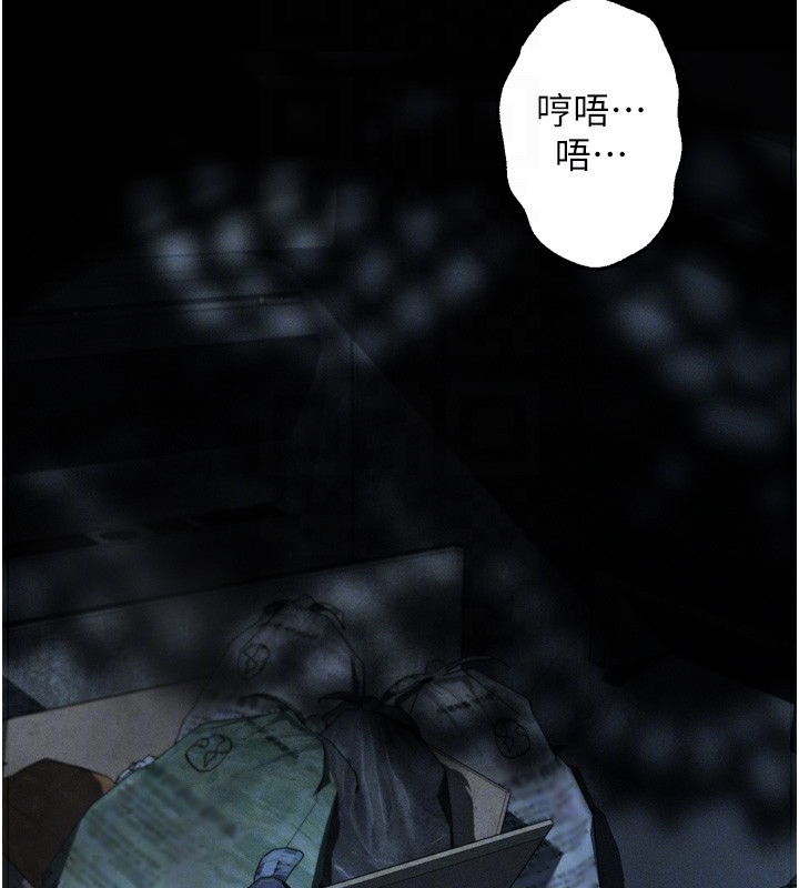 91P - 堕落物语2